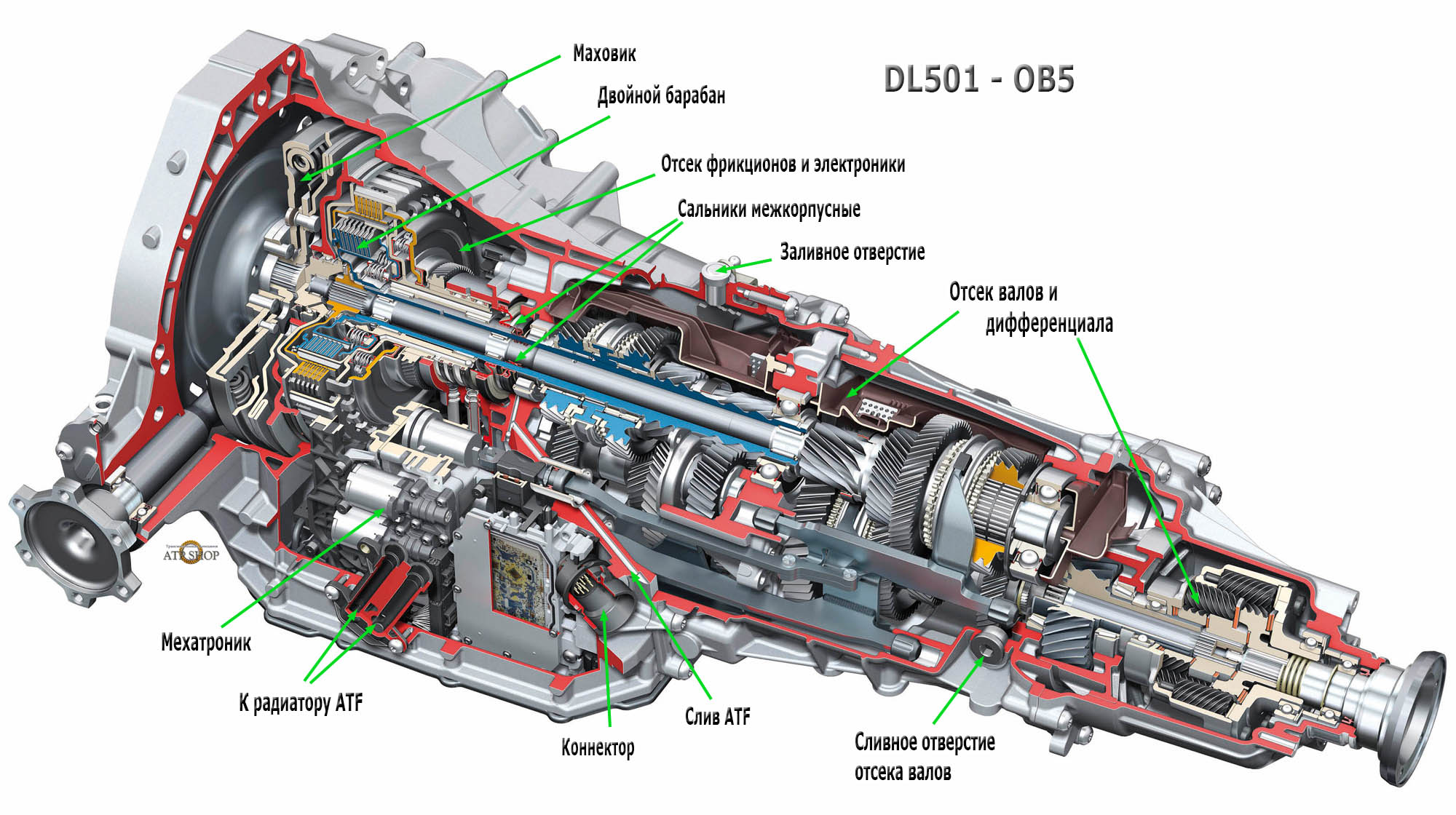 DL501 - OB5 в разрезе